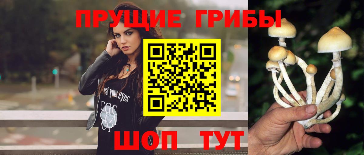 Псилоцибиновые грибы мухоморы  Вход с VPN  Подольск 